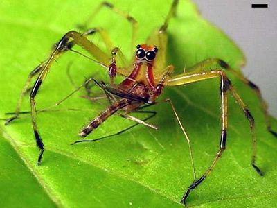 Magnolia green jumper