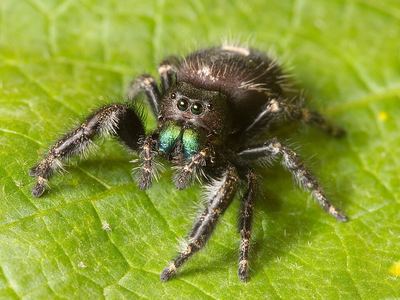 Bold jumper